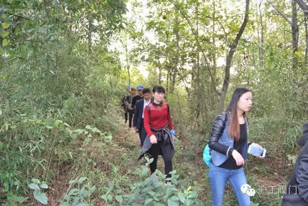 �Ϻ������y�T(m��n)�S(ch��ng)2016���＾ͽ�����л��(d��ng) �D4