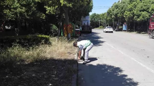 �����y�T�����Aͤ�坍�҈@־Ը�߻�ӣ��D2��