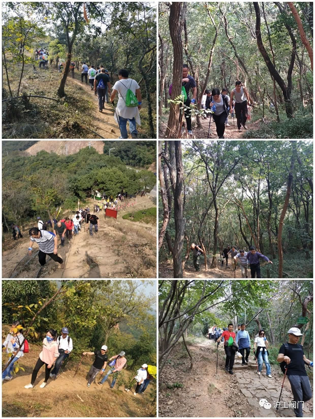 �Ϻ������y�T(m��n)�S(ch��ng)2019���＾ͽ�����л��(d��ng)���D6��