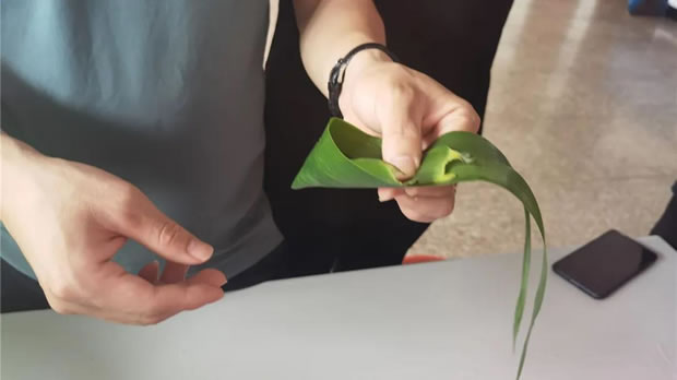 2021���Ϻ������y�T�S���繝(ji��)�����ӻ��(d��ng)���D2��